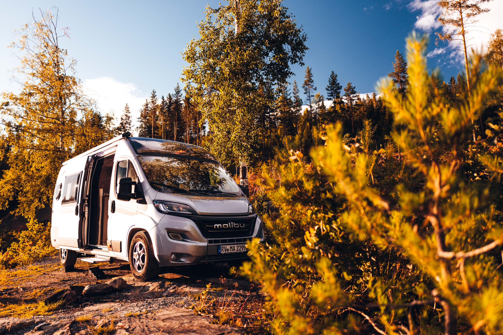 Malibu Van in der Natur zwischen Bäumen