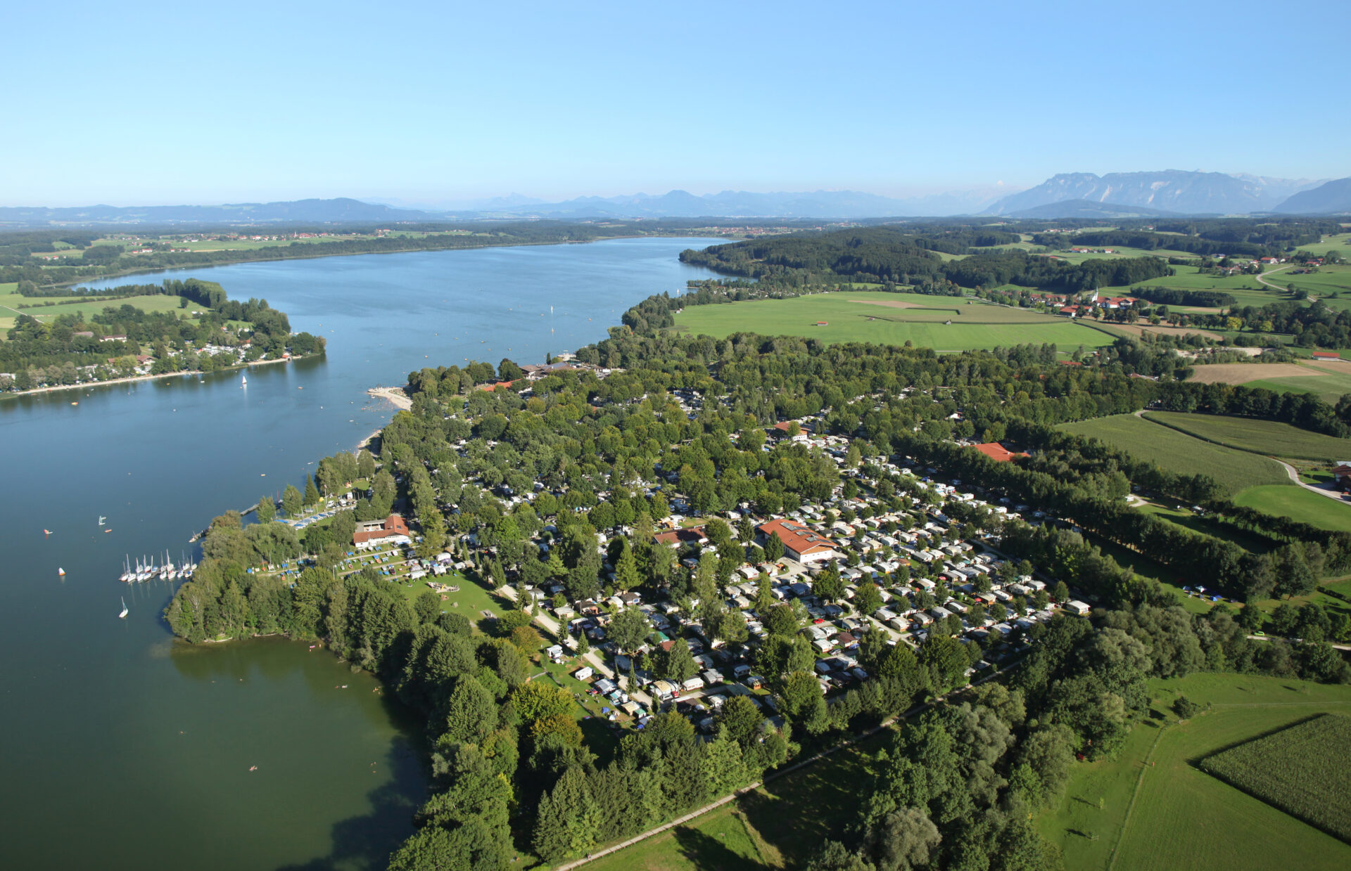 Viel Natur und grüne Bäume