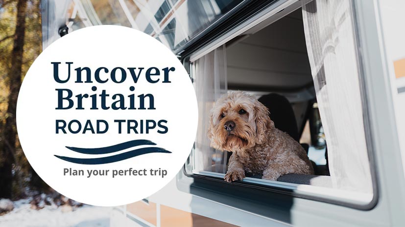 Logo von "Uncover Britain Road Trips" vor dem Hintergrund eines Hunde, der aus einem Wohnmobilfenster herausschaut.