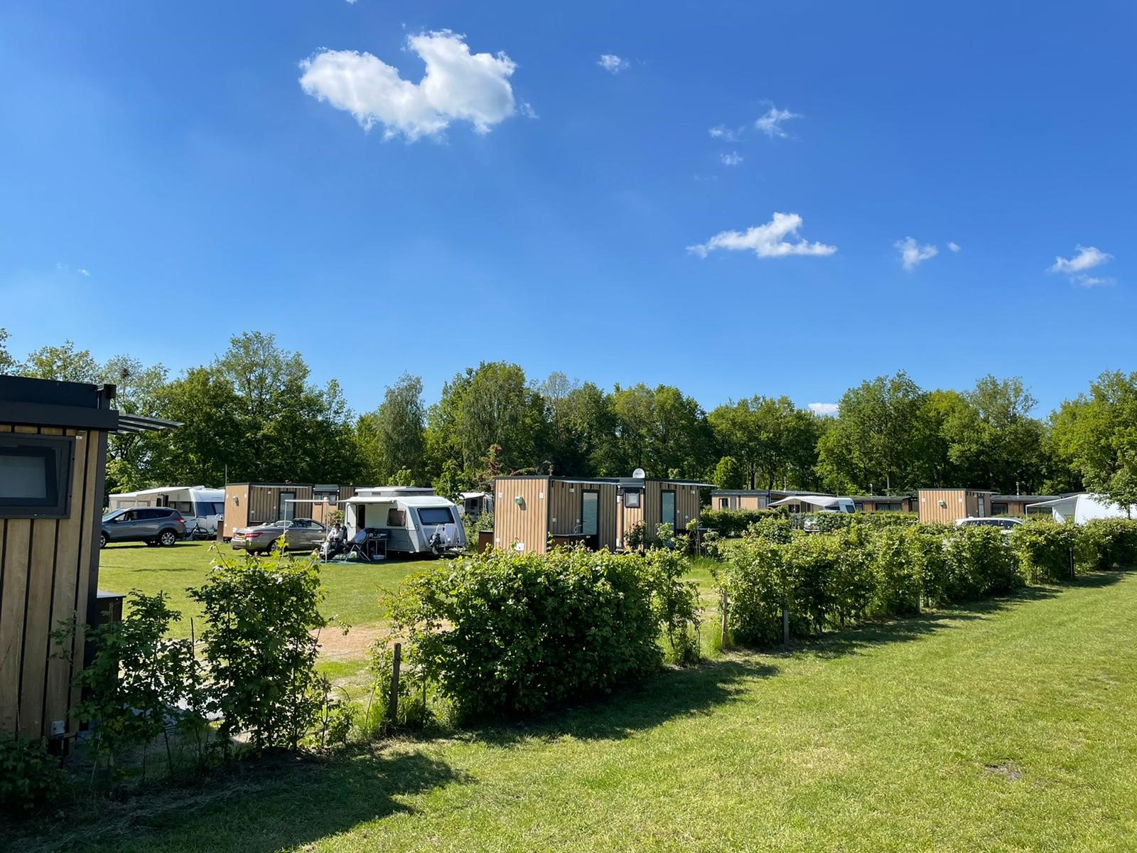 Stellplätze belegt von Campern im Grünen mit blauem Himmel