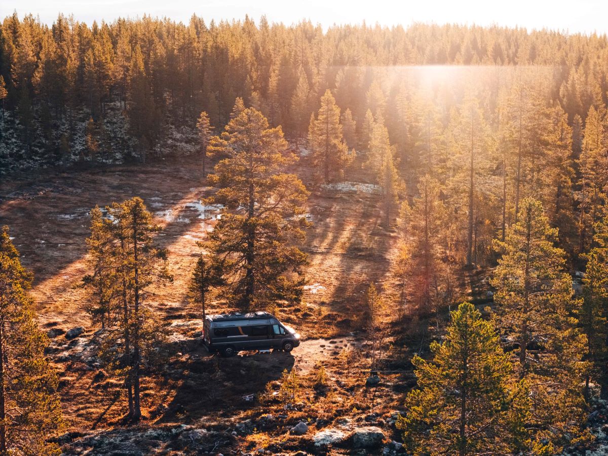 Vogelperspektive auf einen Malibu Van inmitten eines Waldes in Norwegen